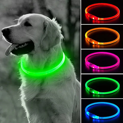 Collier LED USB pour chien et chat