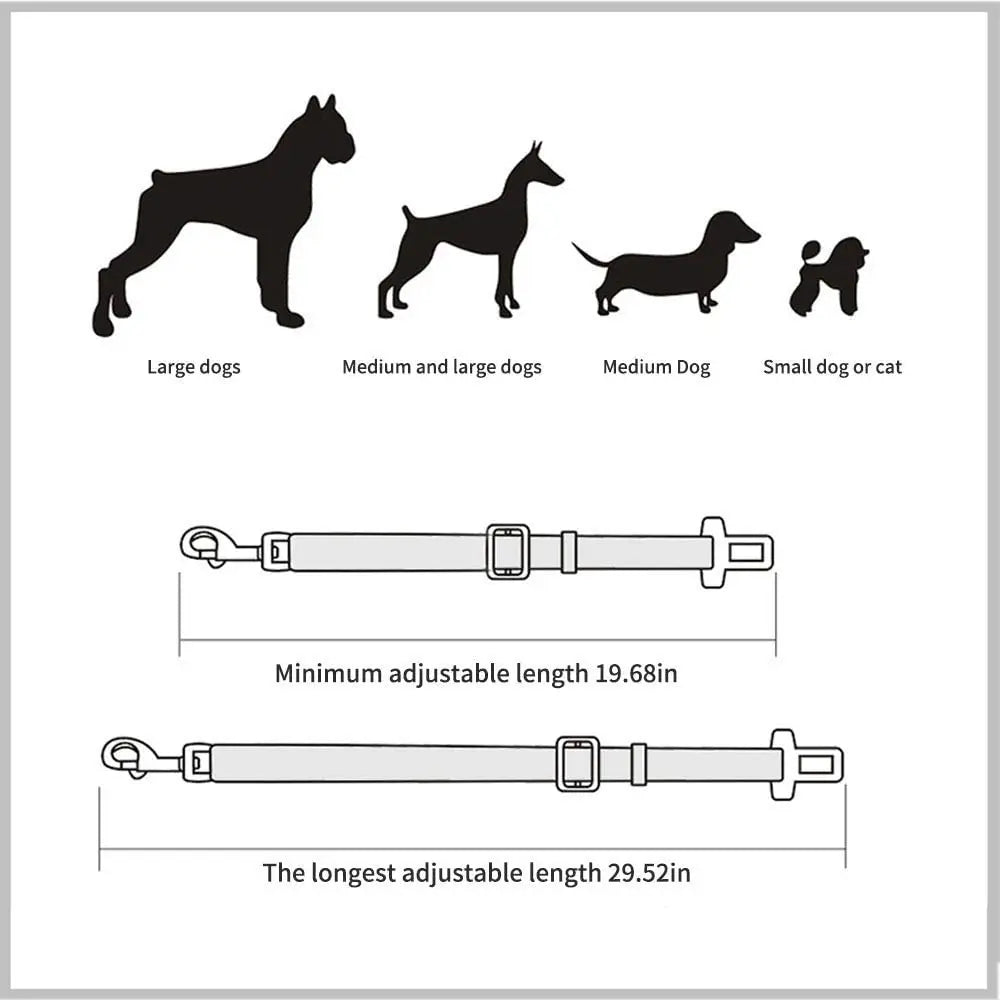 Ceinture de sécurité réglable pour animal de compagnie