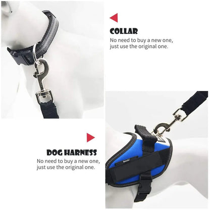 Ceinture de sécurité réglable pour animal de compagnie