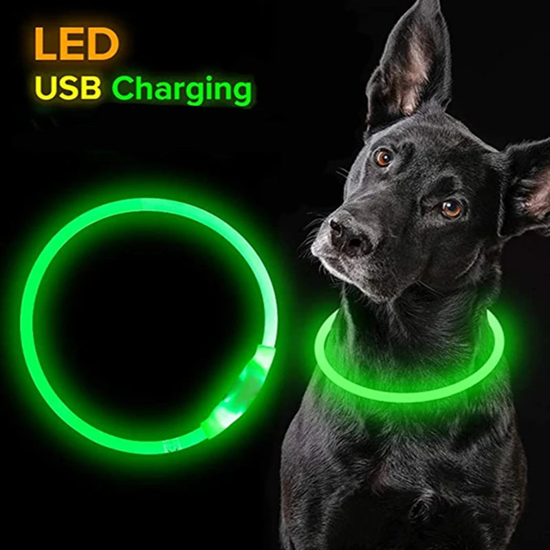 Collier LED USB pour chien et chat