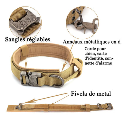 Ensemble de laisse et collier SFP pour chiens moyens et grands, animal de compagnie