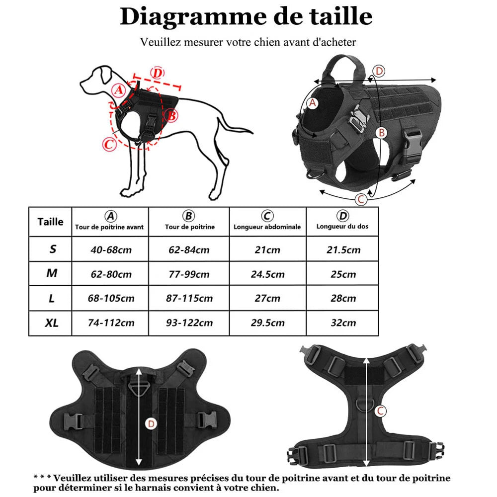 Ensemble de laisse et collier SFP pour chiens moyens et grands, animal de compagnie