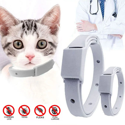 Collier anti-puces pour animaux de compagnie, anti-tiques pour chat et petit chien