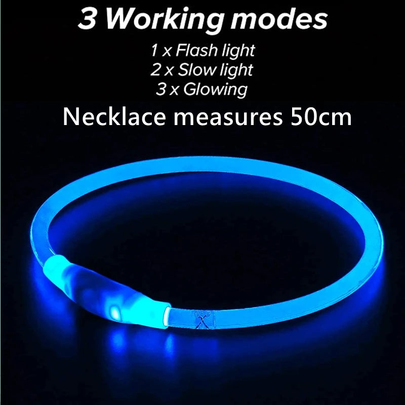 Collier LED USB pour chien et chat