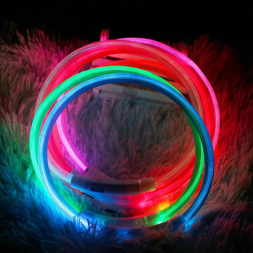 Collier LED USB pour chien et chat